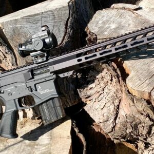 Calibre Innovations M22 .22 AR Semi-Auto Rifle (12" match in stock now)